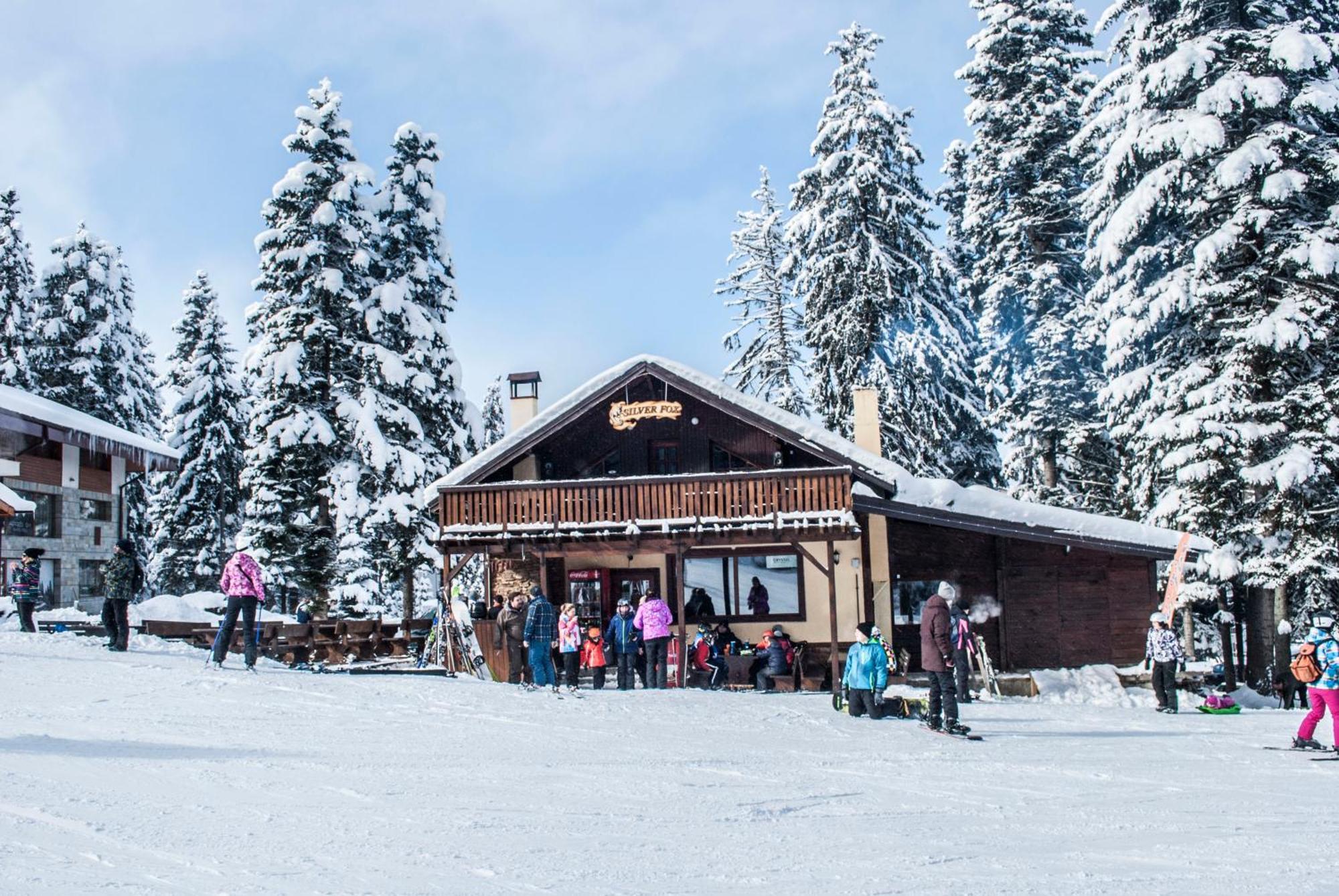 Alpine Ski Chalet Borovets With Sauna Εξωτερικό φωτογραφία