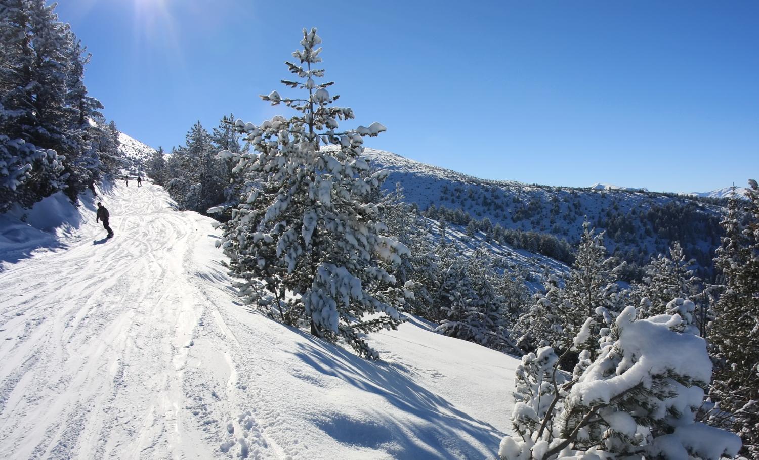 Alpine Ski Chalet Borovets With Sauna Εξωτερικό φωτογραφία