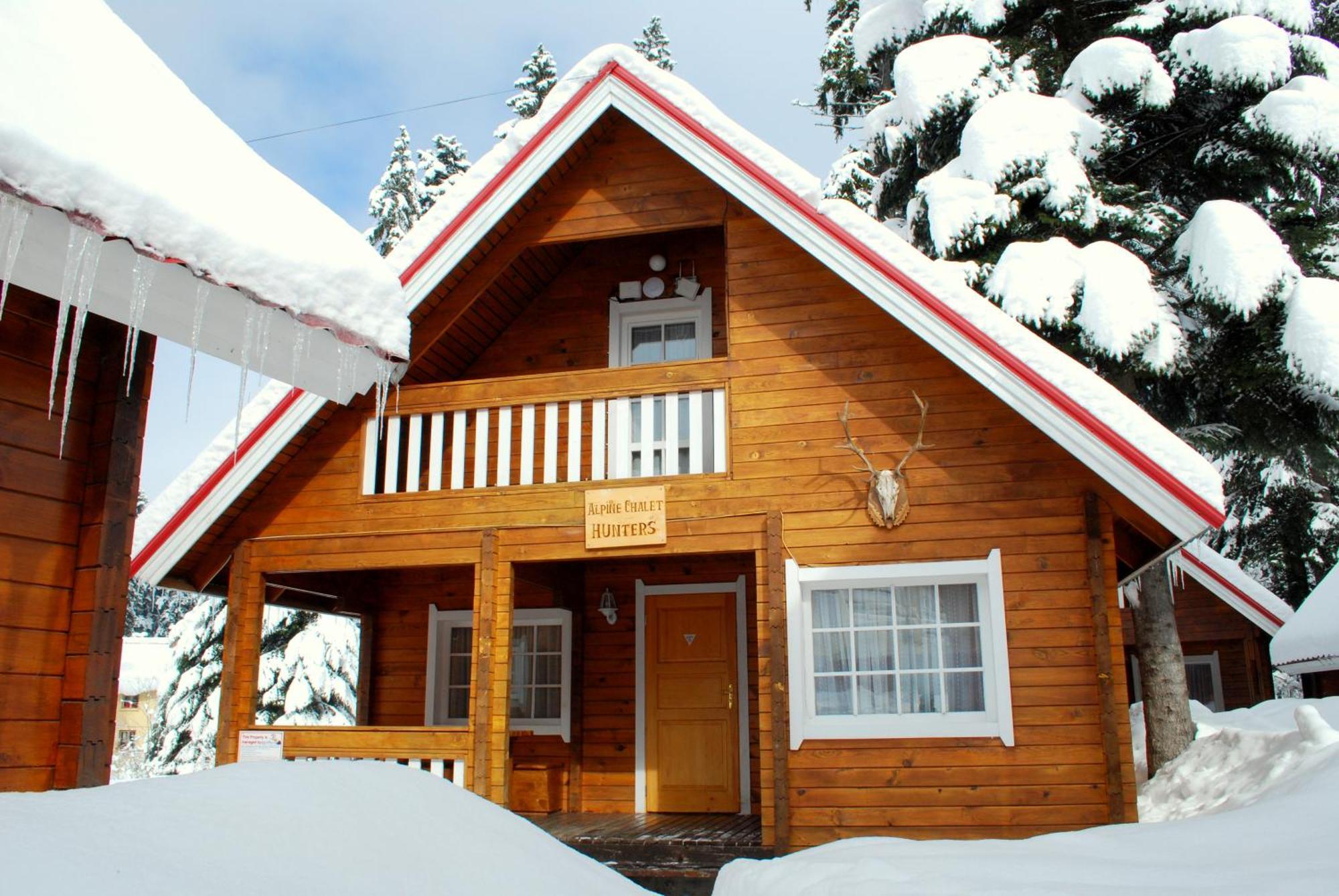 Alpine Ski Chalet Borovets With Sauna Εξωτερικό φωτογραφία