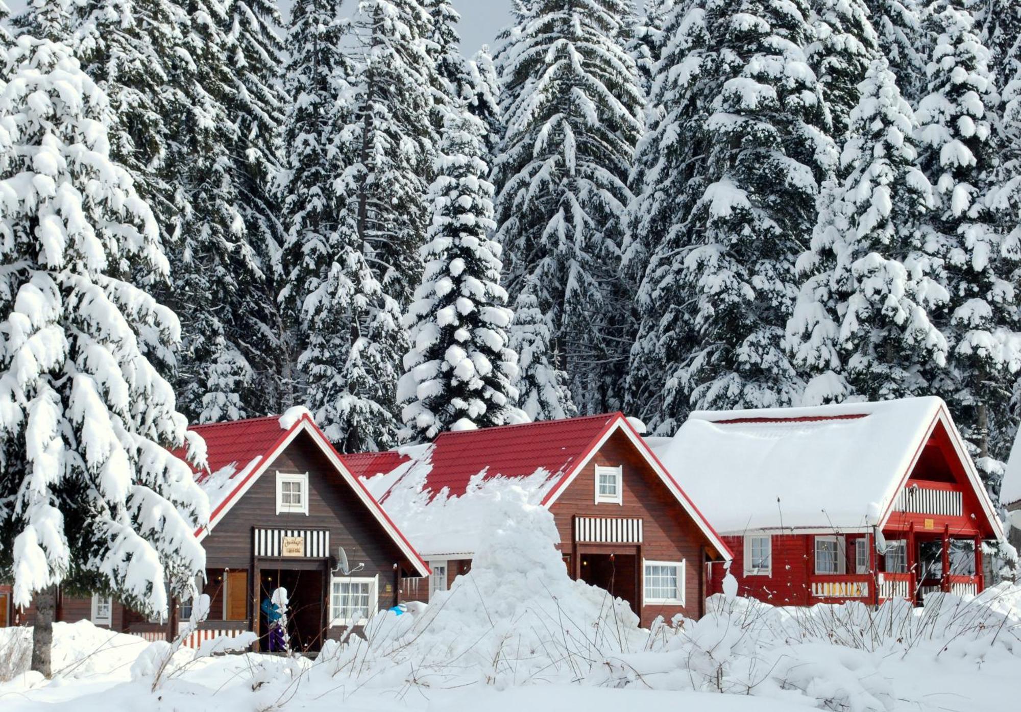 Alpine Ski Chalet Borovets With Sauna Εξωτερικό φωτογραφία