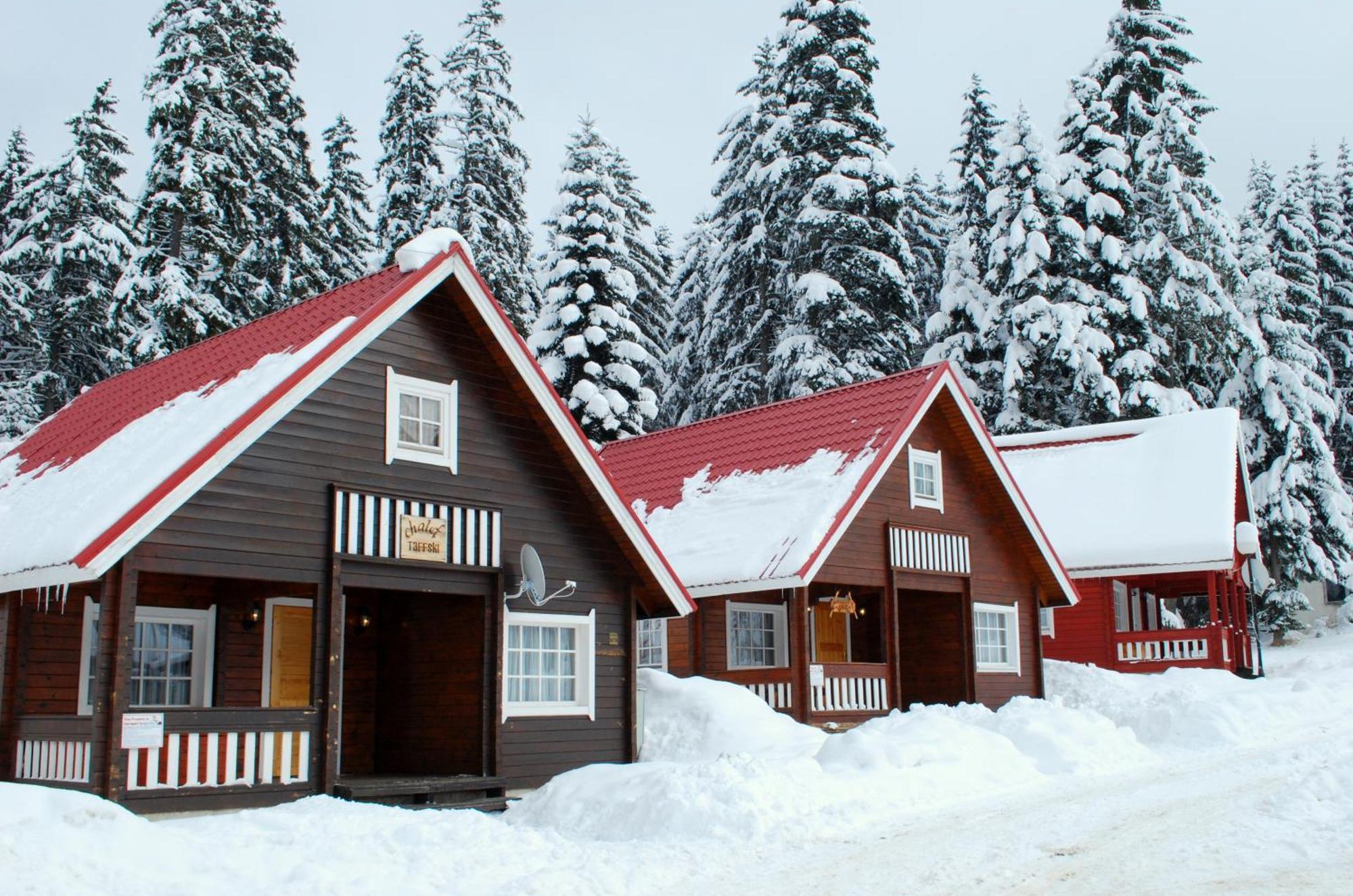 Alpine Ski Chalet Borovets With Sauna Εξωτερικό φωτογραφία