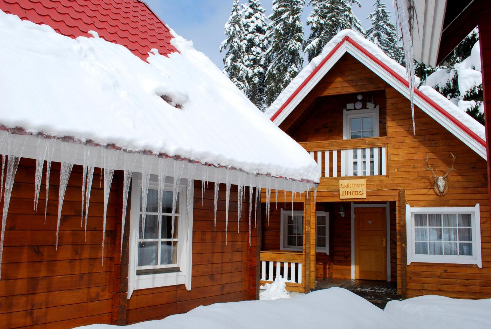 Alpine Ski Chalet Borovets With Sauna Δωμάτιο φωτογραφία